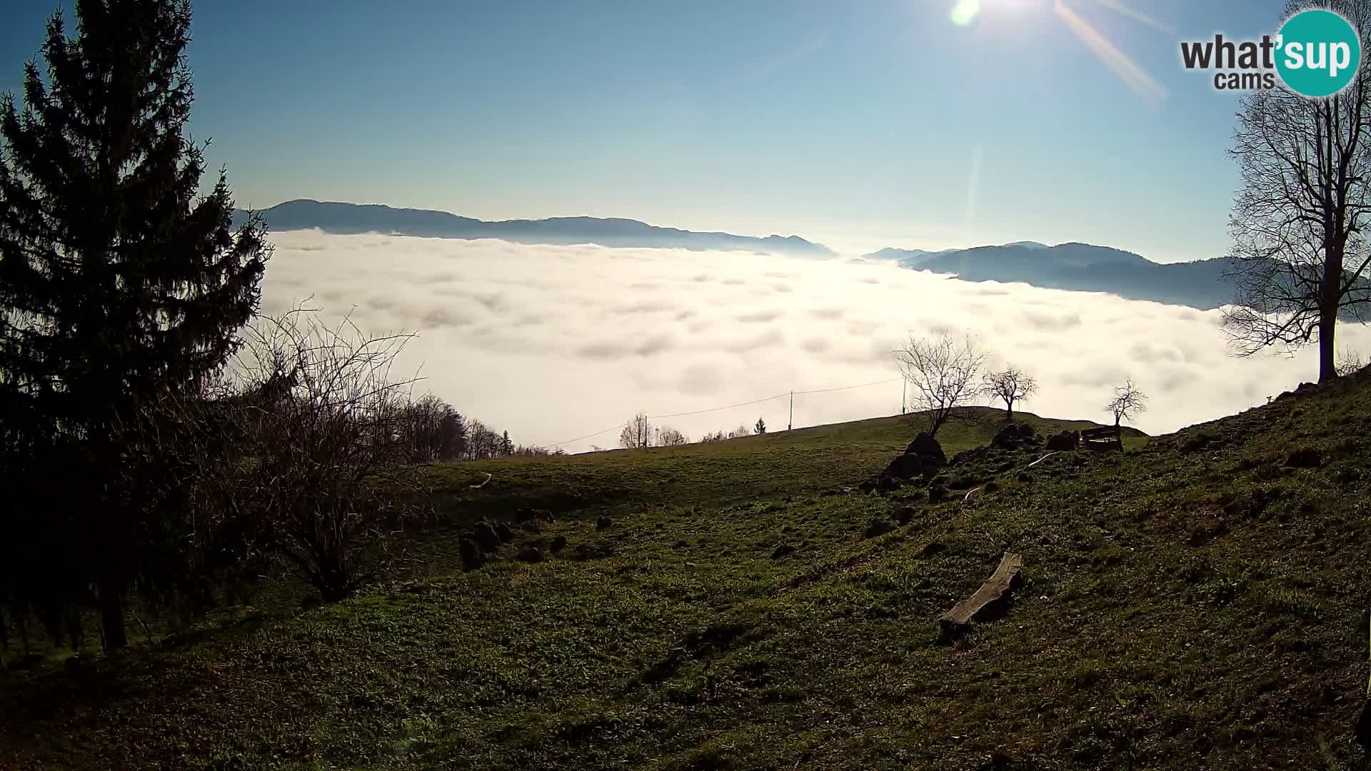 Slajka webam | Gorenja vas | Slovenia