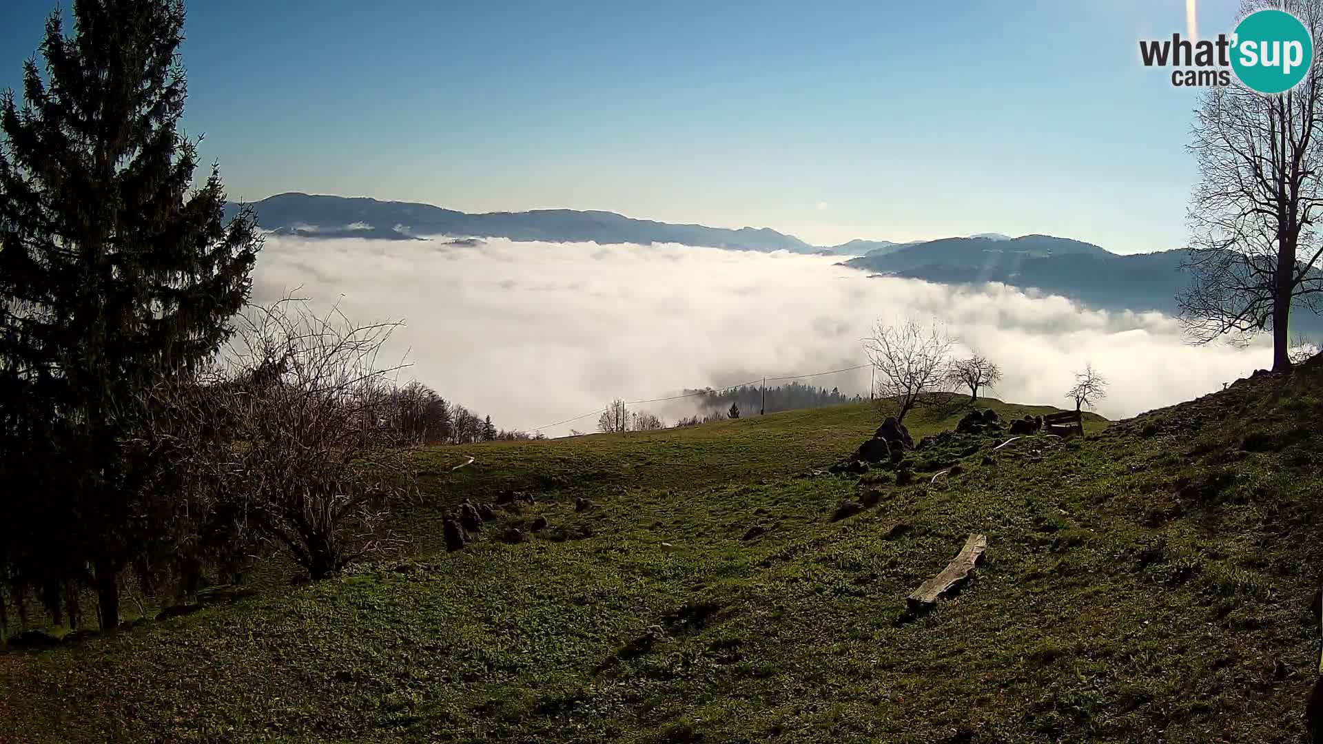 Slajka livecam | Gorenja Vas | Slovénie