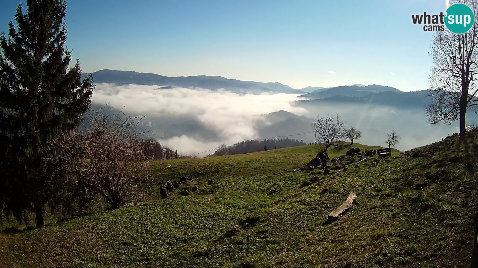 Slajka livecam | Gorenja Vas | Slovénie