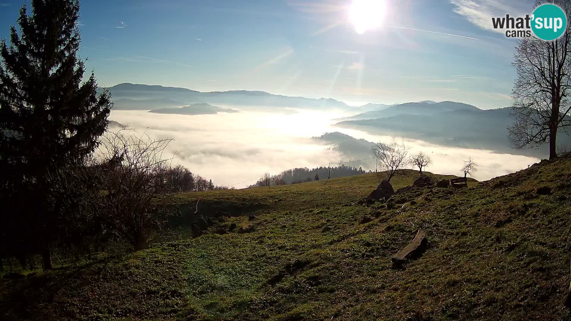 Slajka web kamera | Gorenja Vas | Slovenija