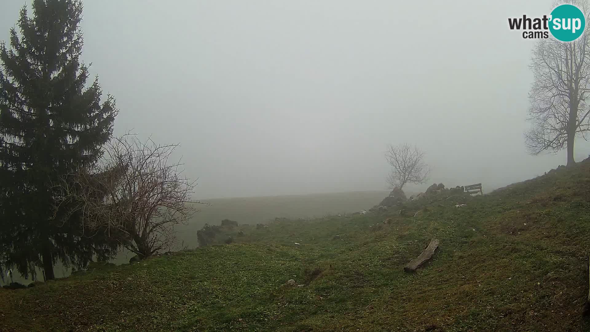 Spletna kamera Slajka | Gorenja vas