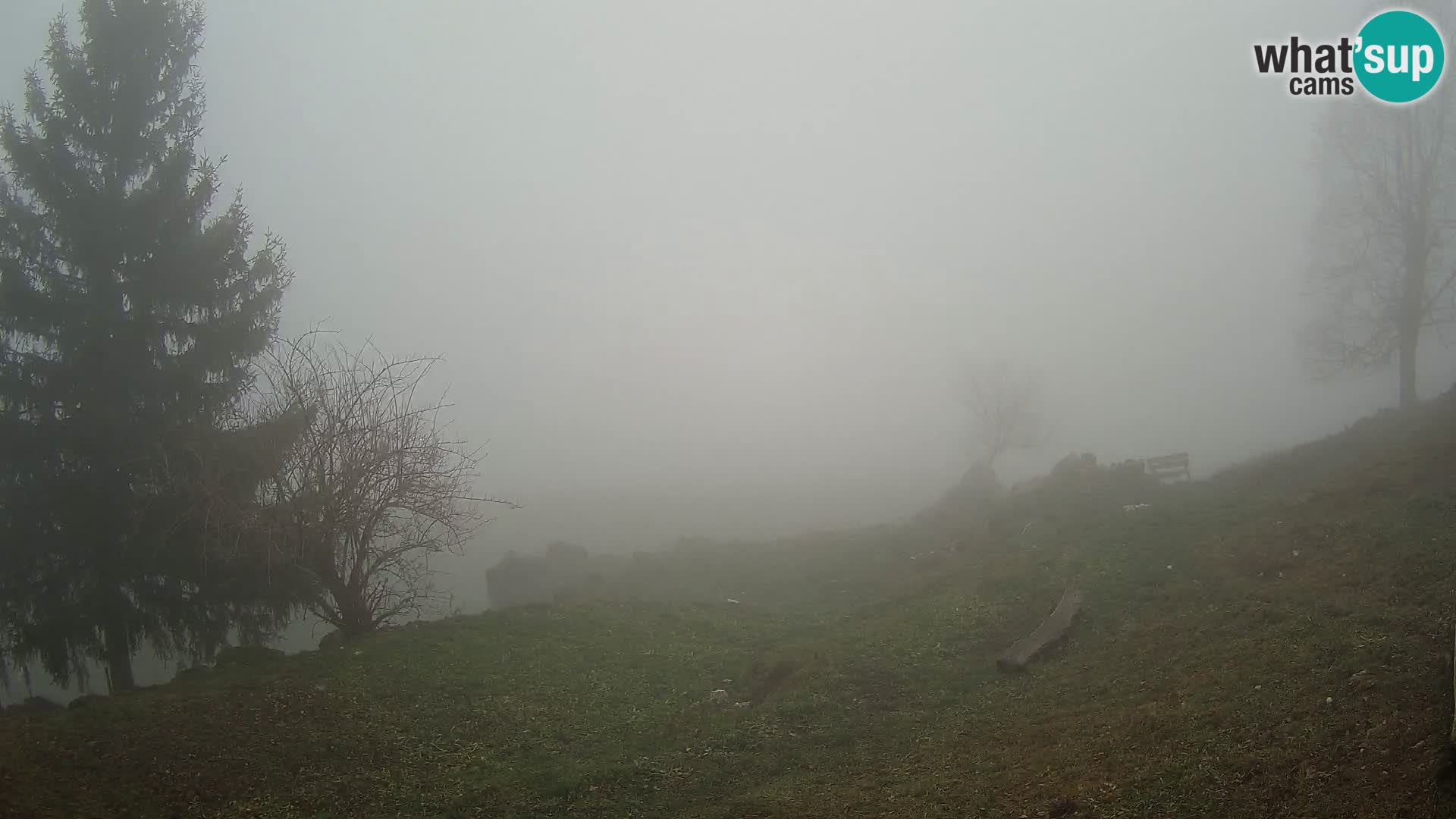 Slajka livecam | Gorenja Vas | Slovénie