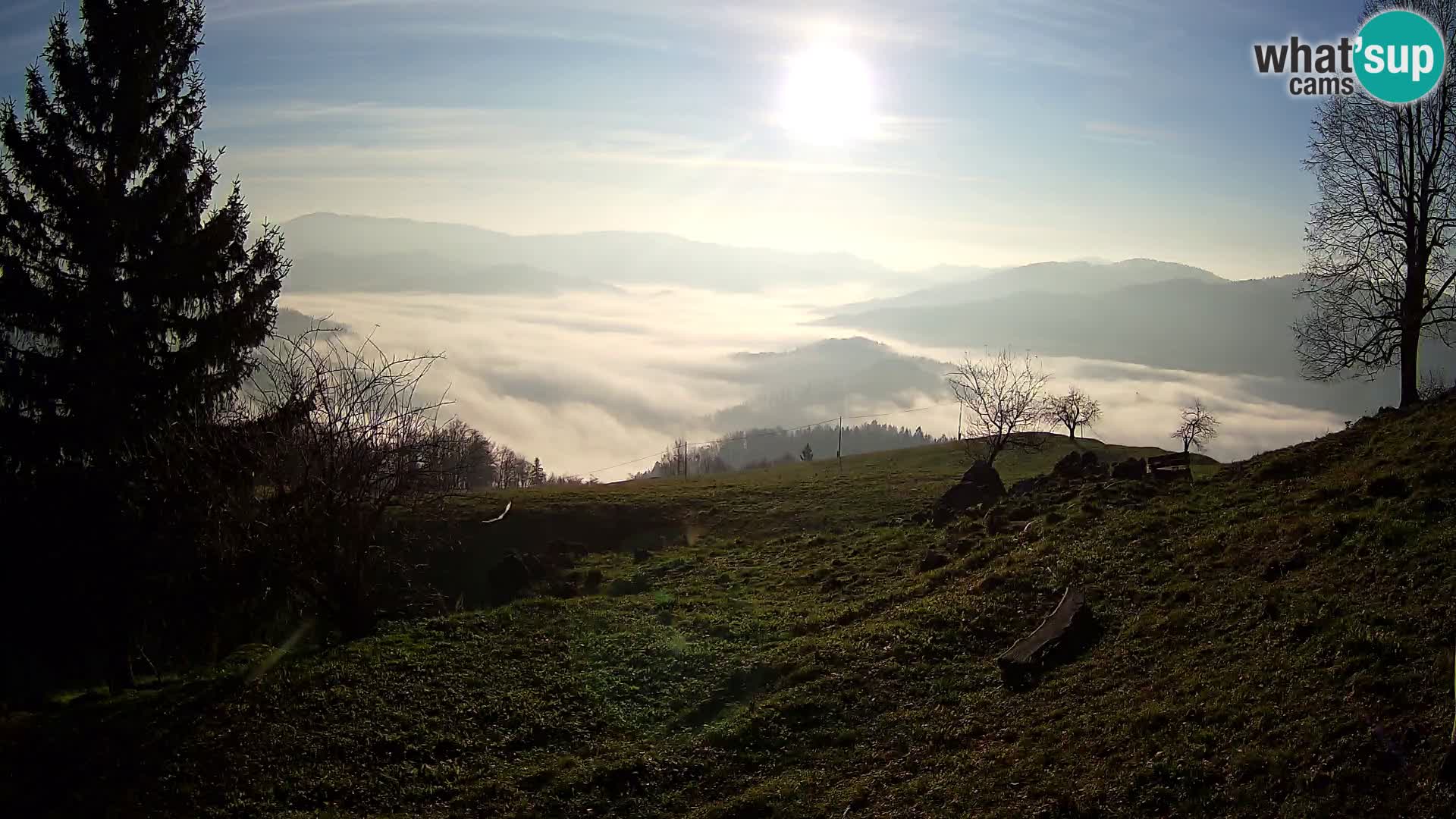 Slajka webam | Gorenja vas | Slovenia