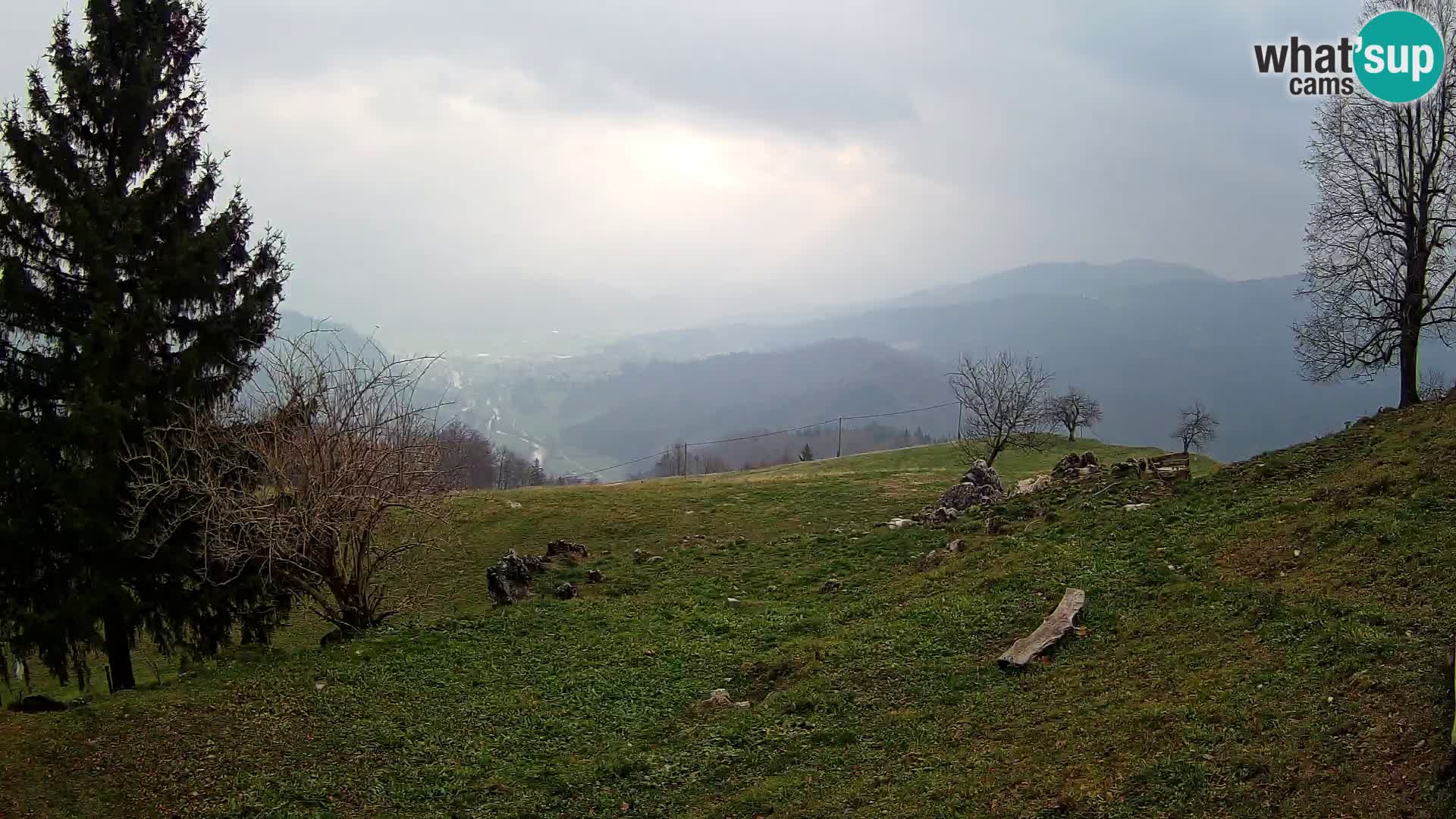 Slajka camera en vivo | Gorenja Vas | Eslovenia