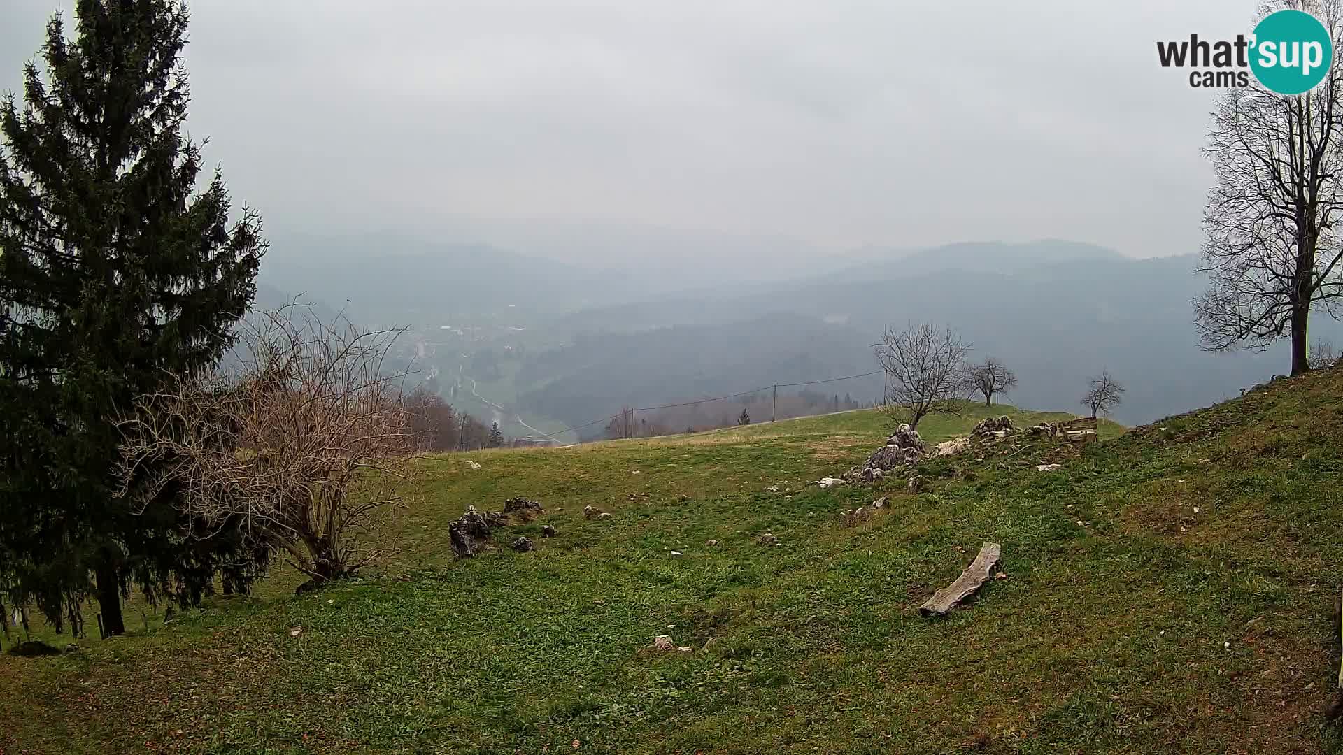 Slajka camera en vivo | Gorenja Vas | Eslovenia