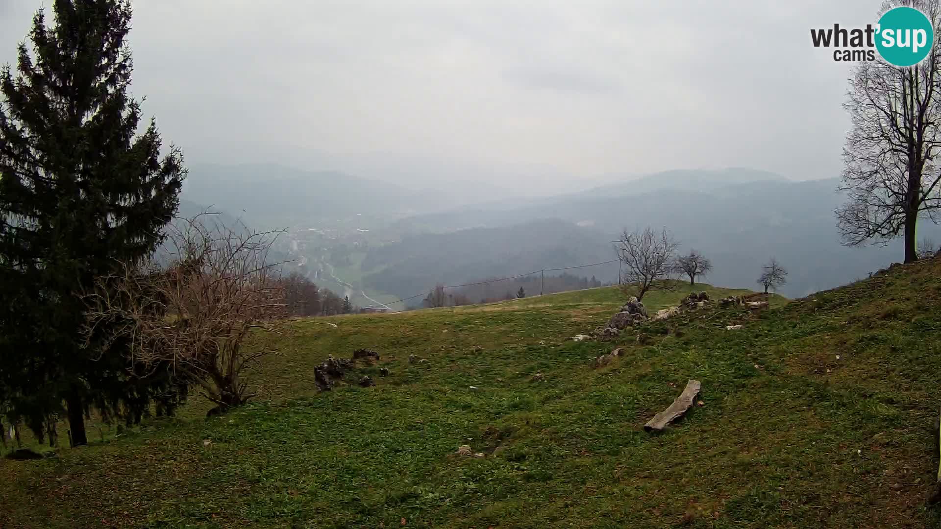 Slajka camera en vivo | Gorenja Vas | Eslovenia