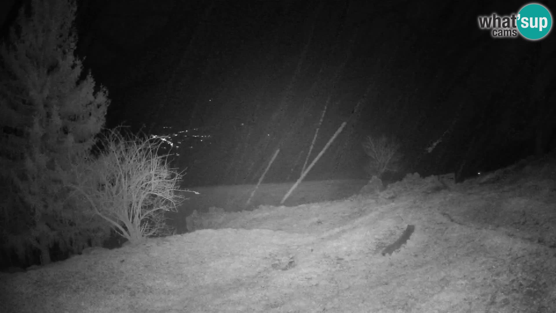 Slajka webam | Gorenja vas | Slovenia