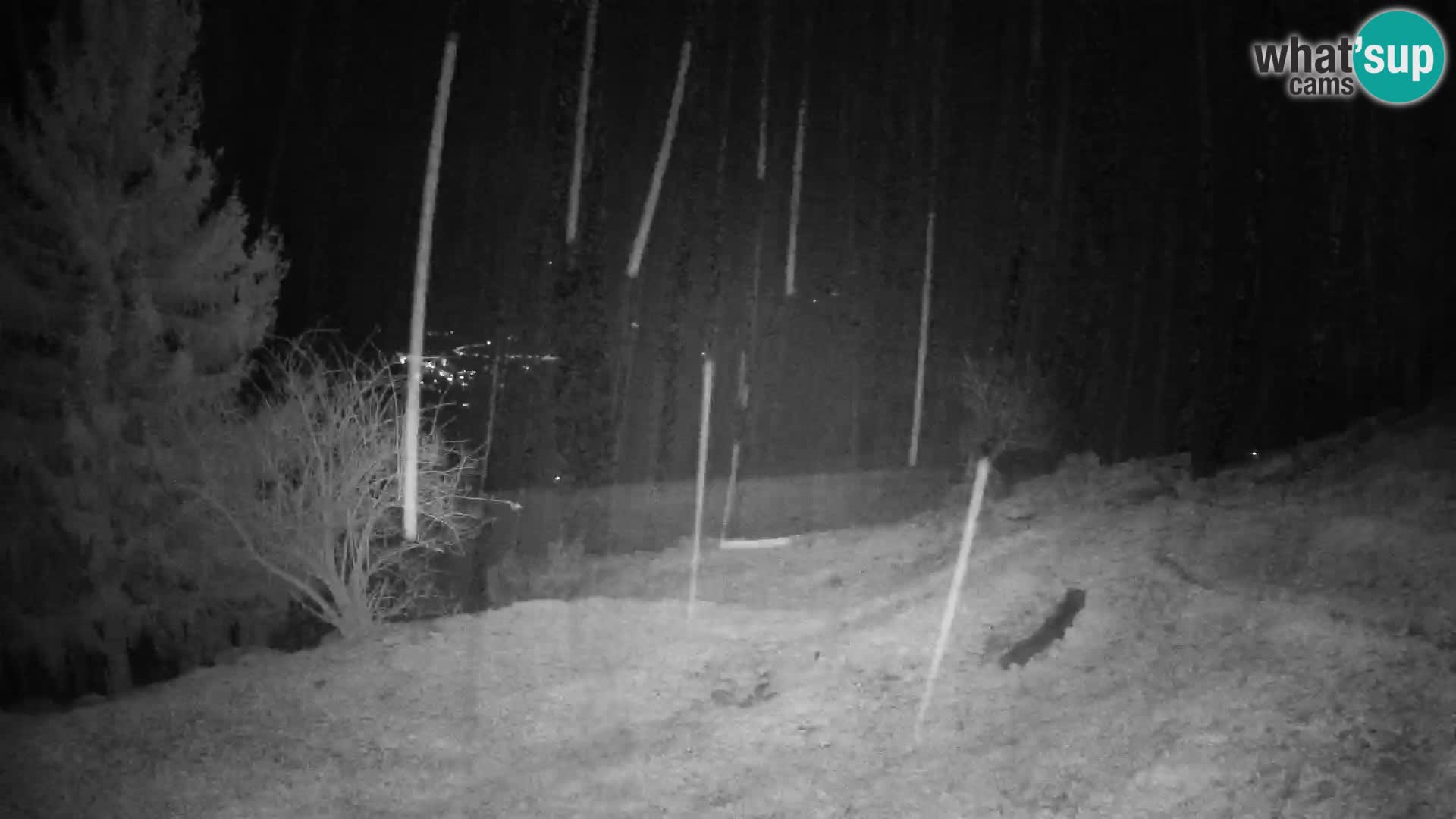 Spletna kamera Slajka | Gorenja vas