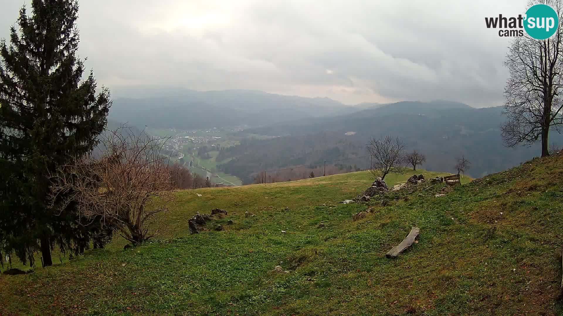 Slajka camera en vivo | Gorenja Vas | Eslovenia