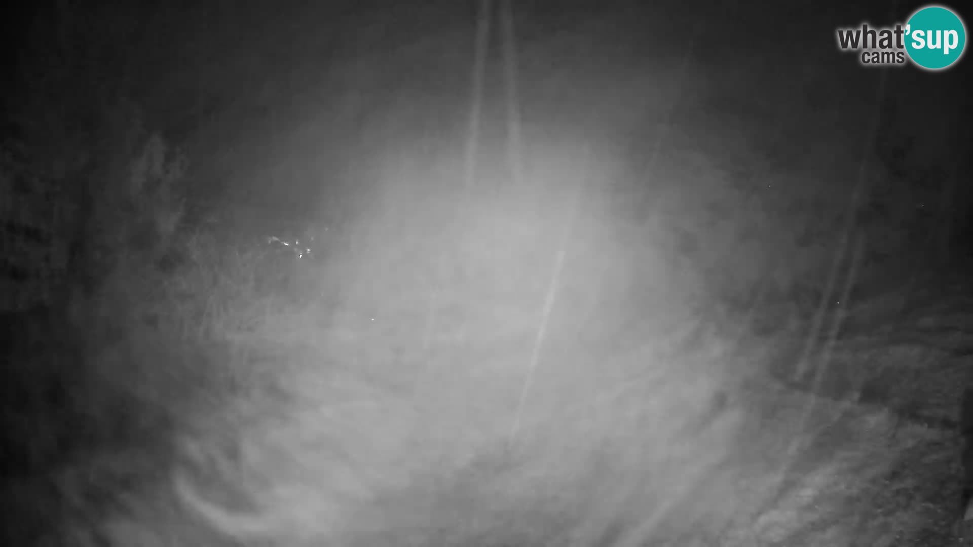 Slajka webam | Gorenja vas | Slovenia