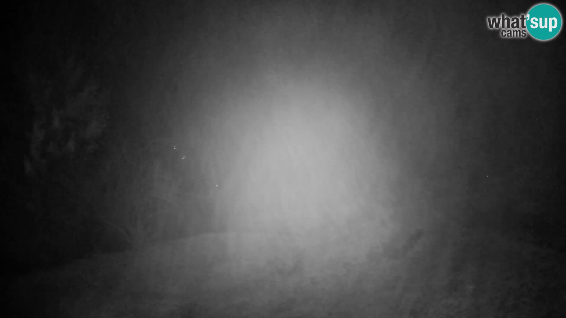 Slajka camera en vivo | Gorenja Vas | Eslovenia