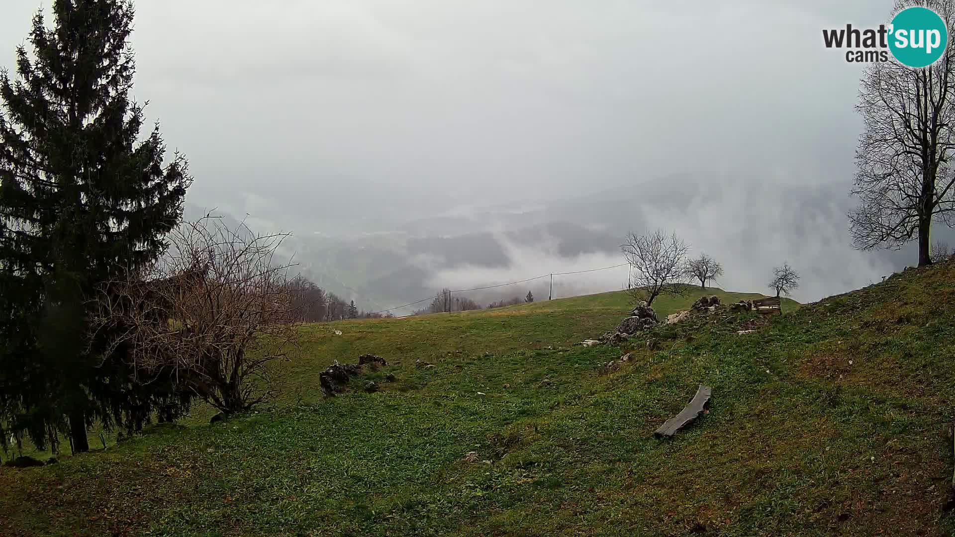 Slajka camera en vivo | Gorenja Vas | Eslovenia