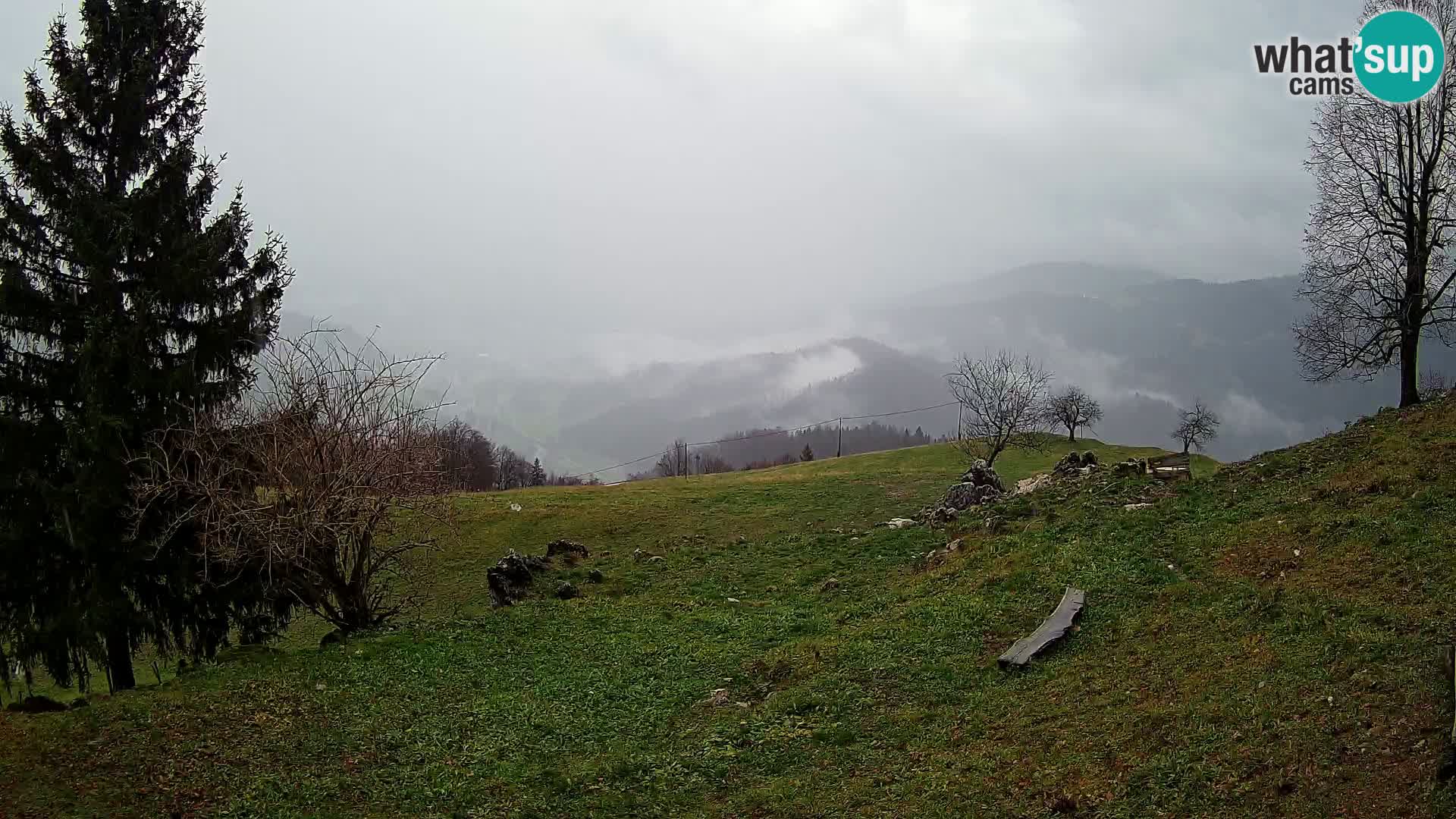 Slajka webam | Gorenja vas | Slovenia