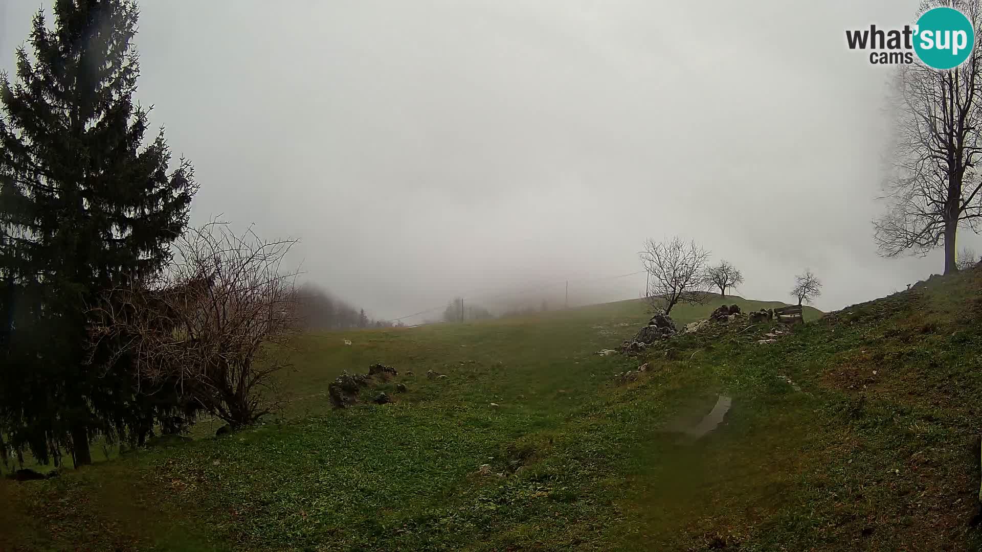 Slajka livecam | Gorenja Vas | Slovénie