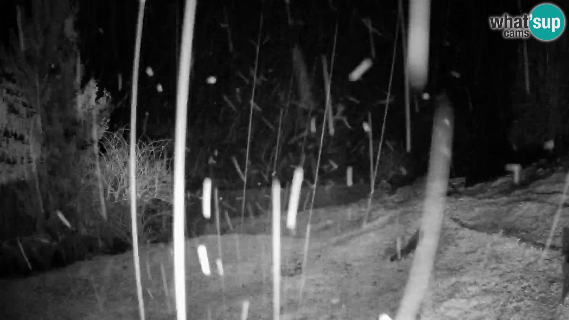 Slajka webcam | Gorenja Vas | Slowenien