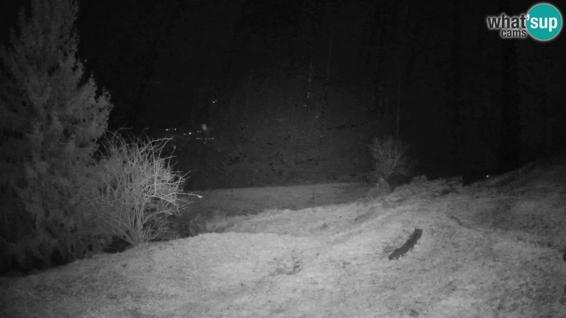 Slajka webam | Gorenja vas | Slovenia