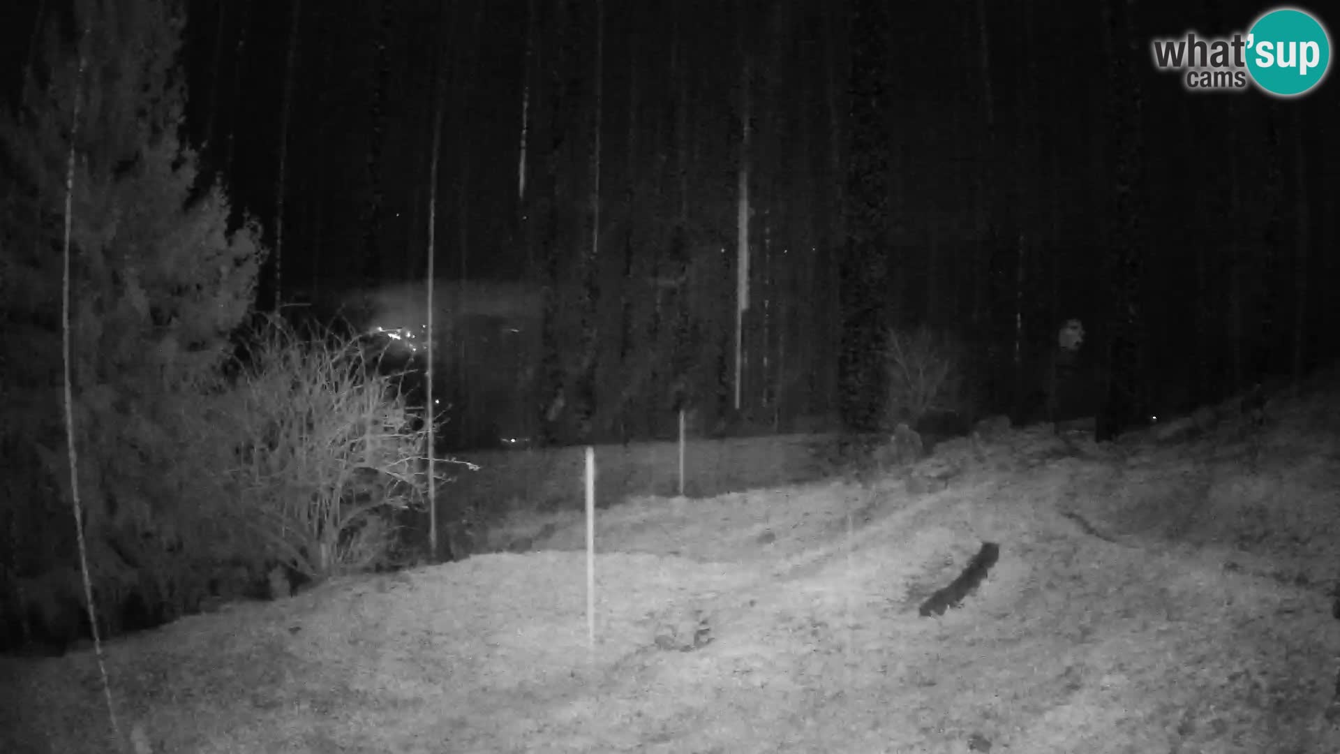 Slajka livecam | Gorenja Vas | Slovénie