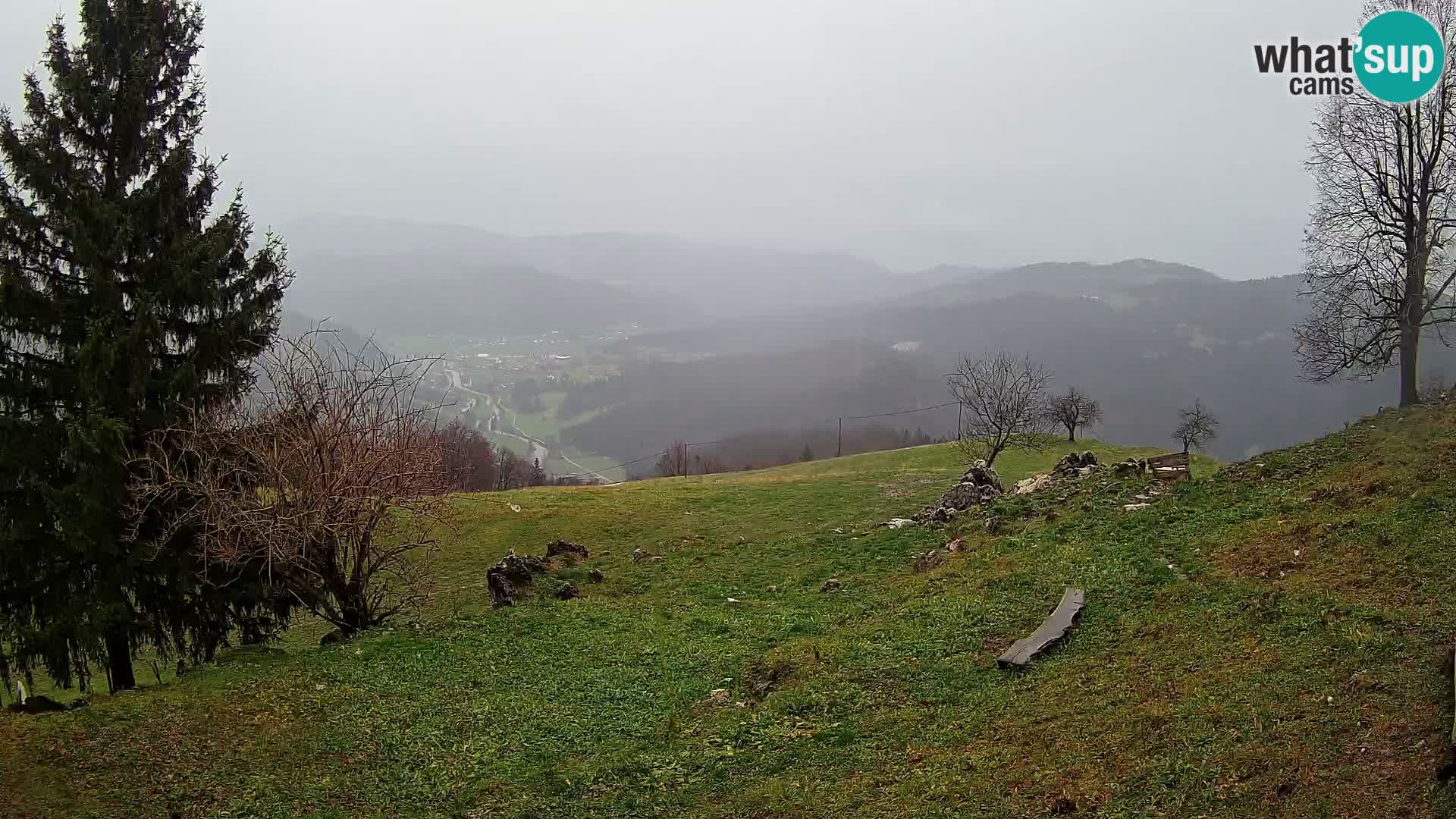 Slajka camera en vivo | Gorenja Vas | Eslovenia