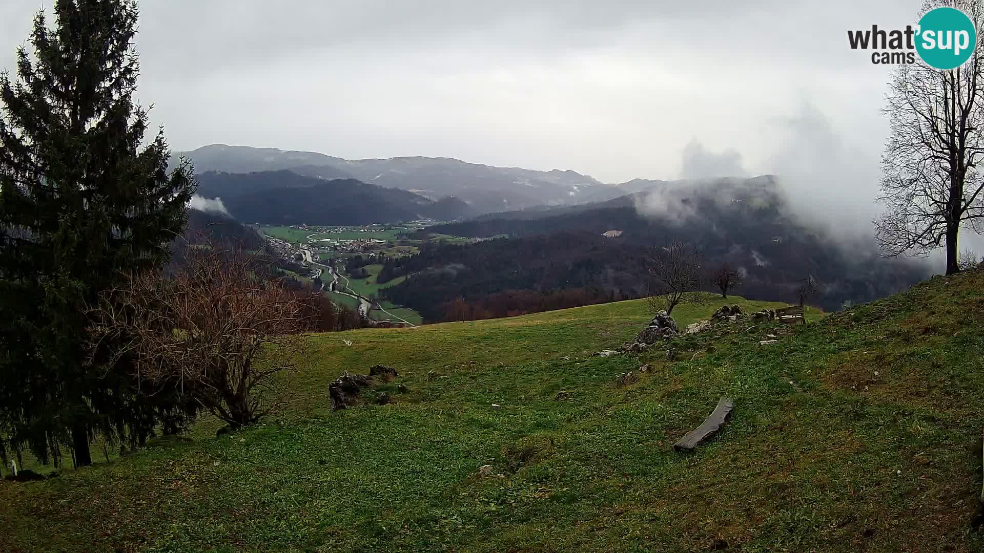 Slajka camera en vivo | Gorenja Vas | Eslovenia