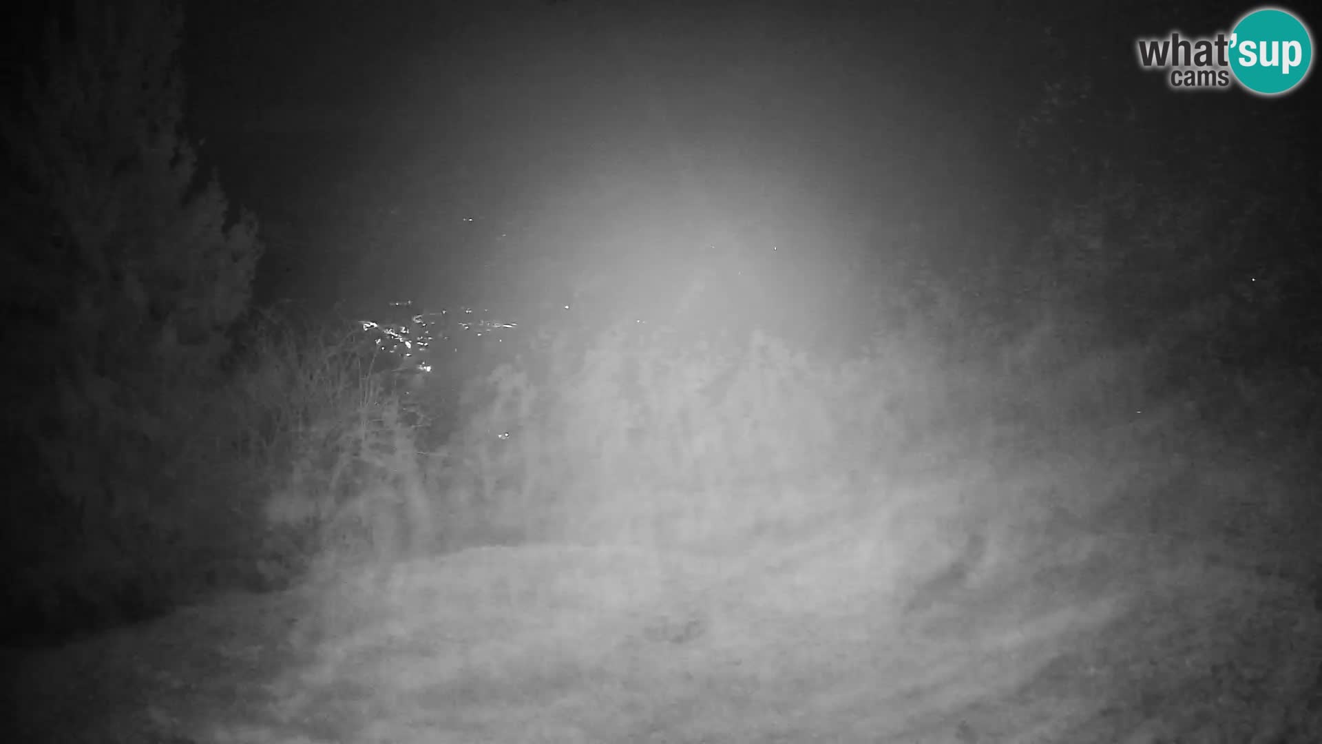 Slajka webcam | Gorenja Vas | Slowenien