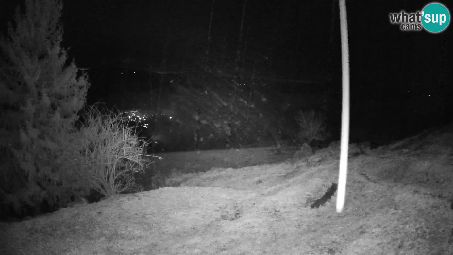 Slajka camera en vivo | Gorenja Vas | Eslovenia