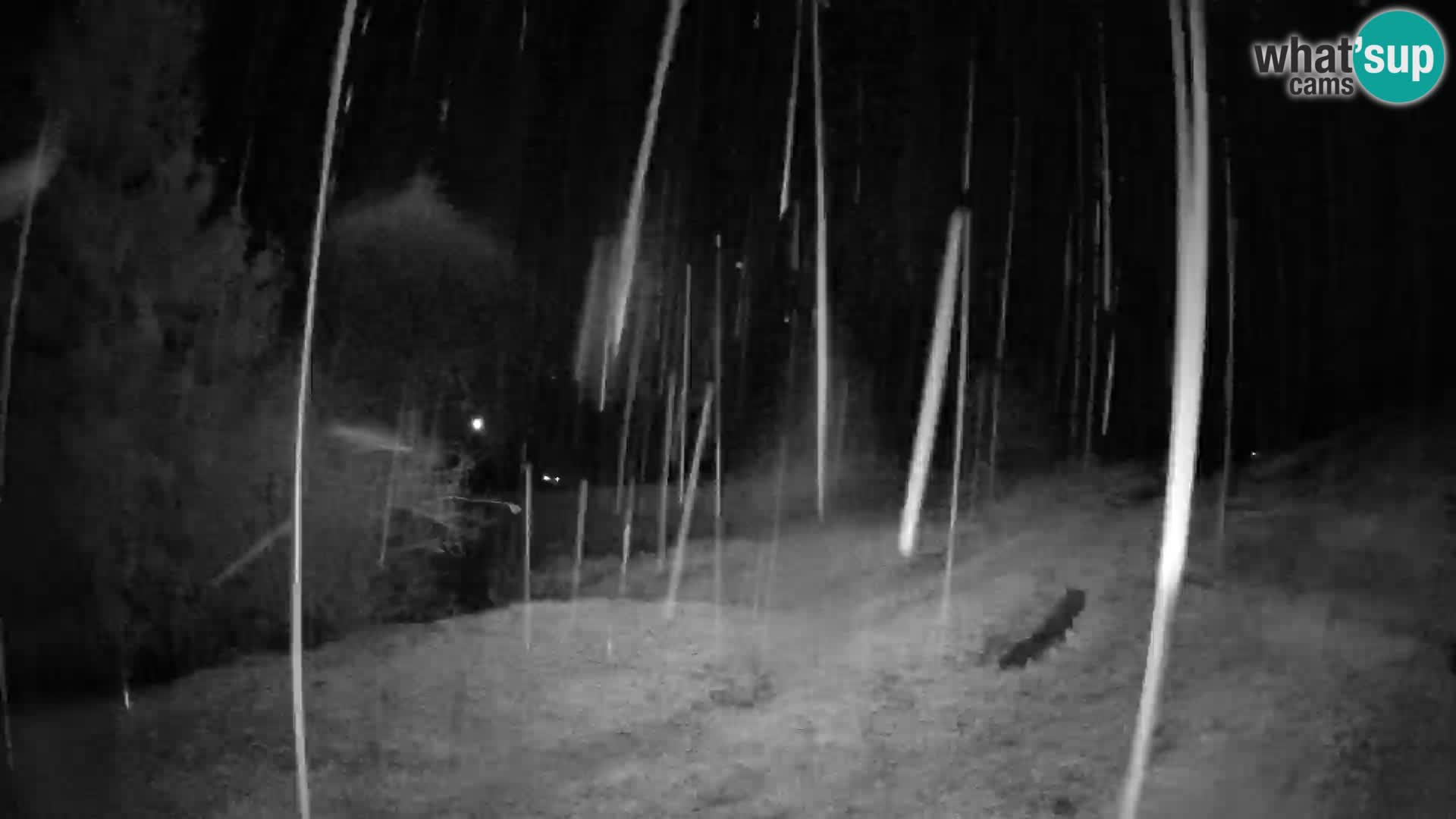 Slajka livecam | Gorenja Vas | Slovénie