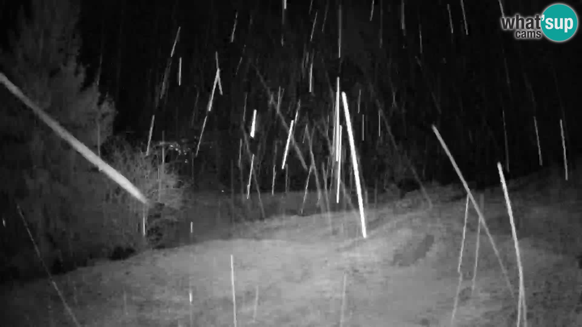 Spletna kamera Slajka | Gorenja vas