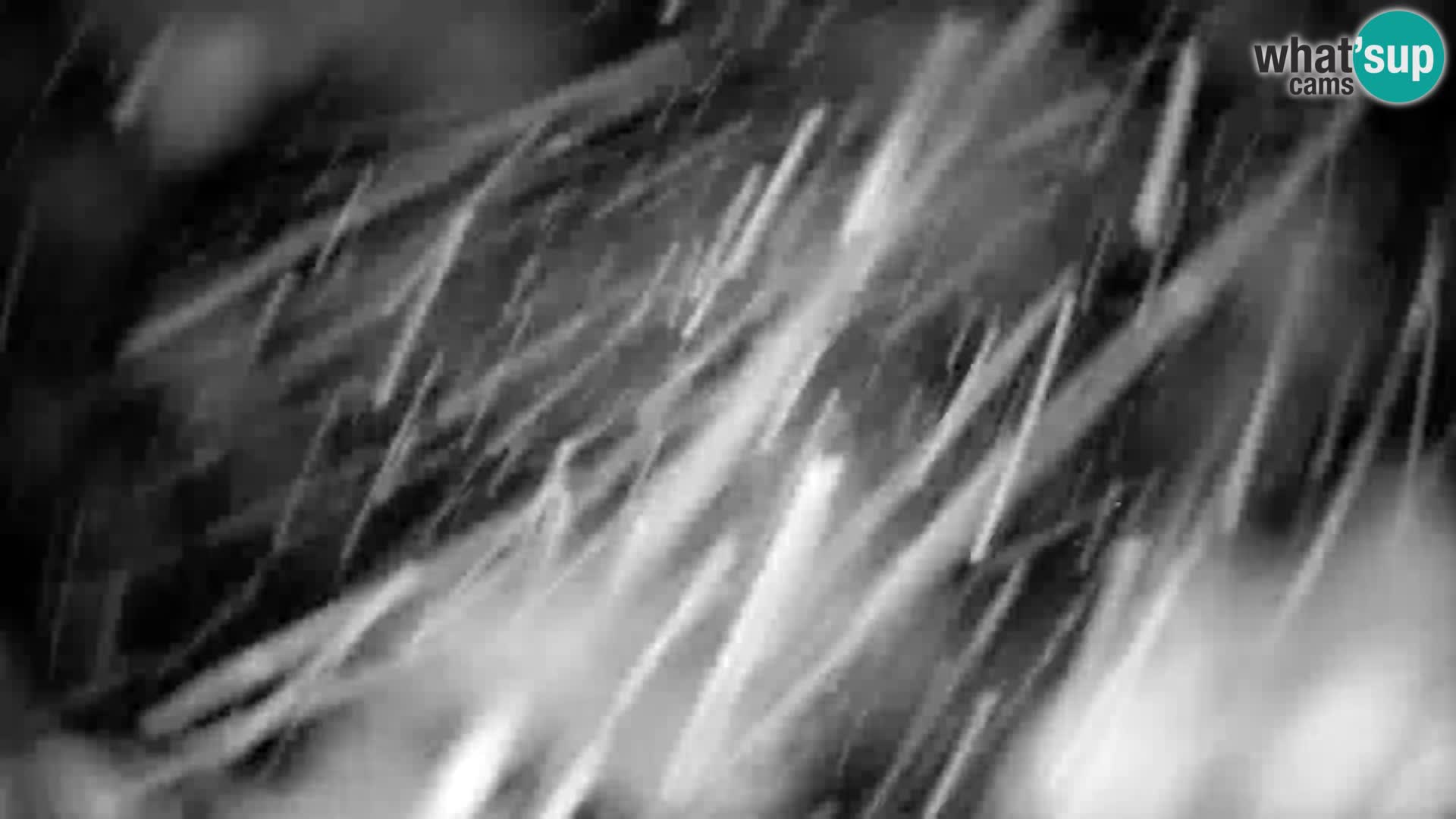 Slajka webcam | Gorenja Vas | Slowenien