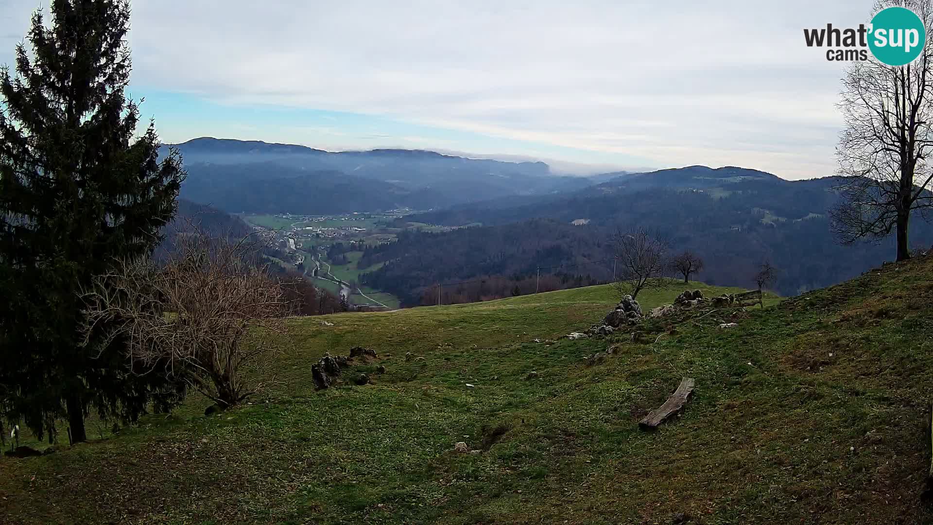 Slajka livecam | Gorenja Vas | Slovénie