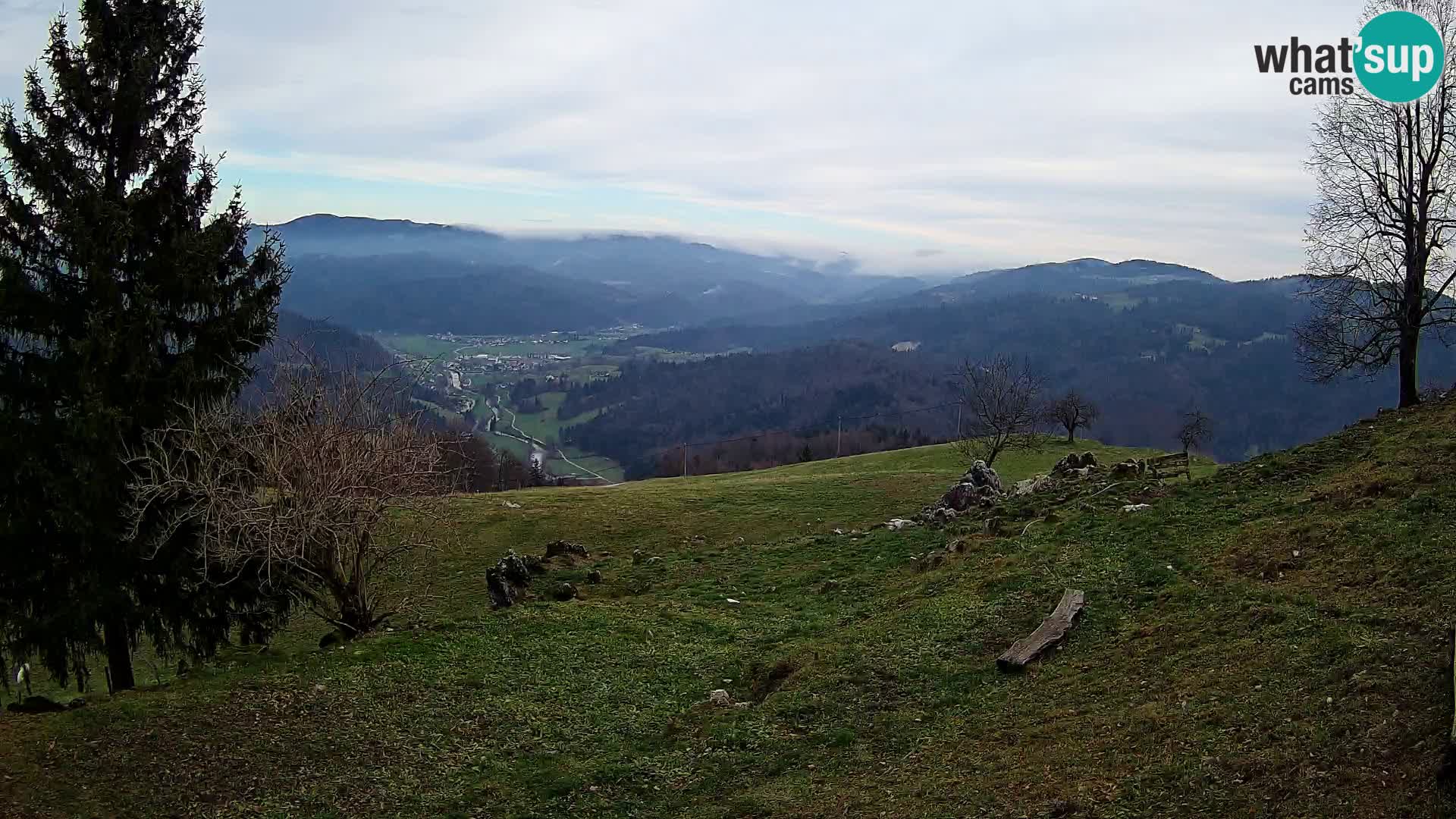 Slajka webam | Gorenja vas | Slovenia