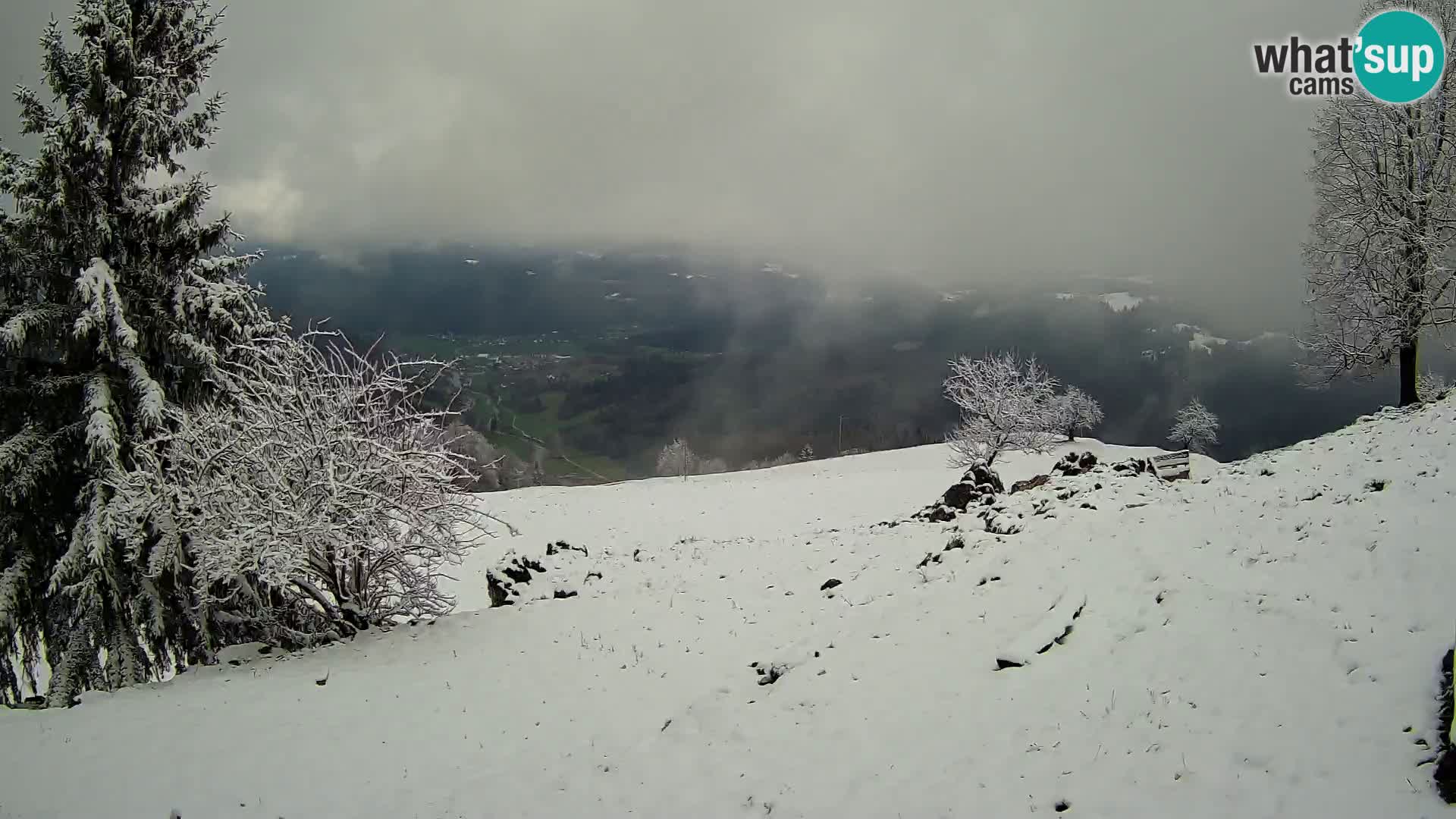 Slajka livecam | Gorenja Vas | Slovénie