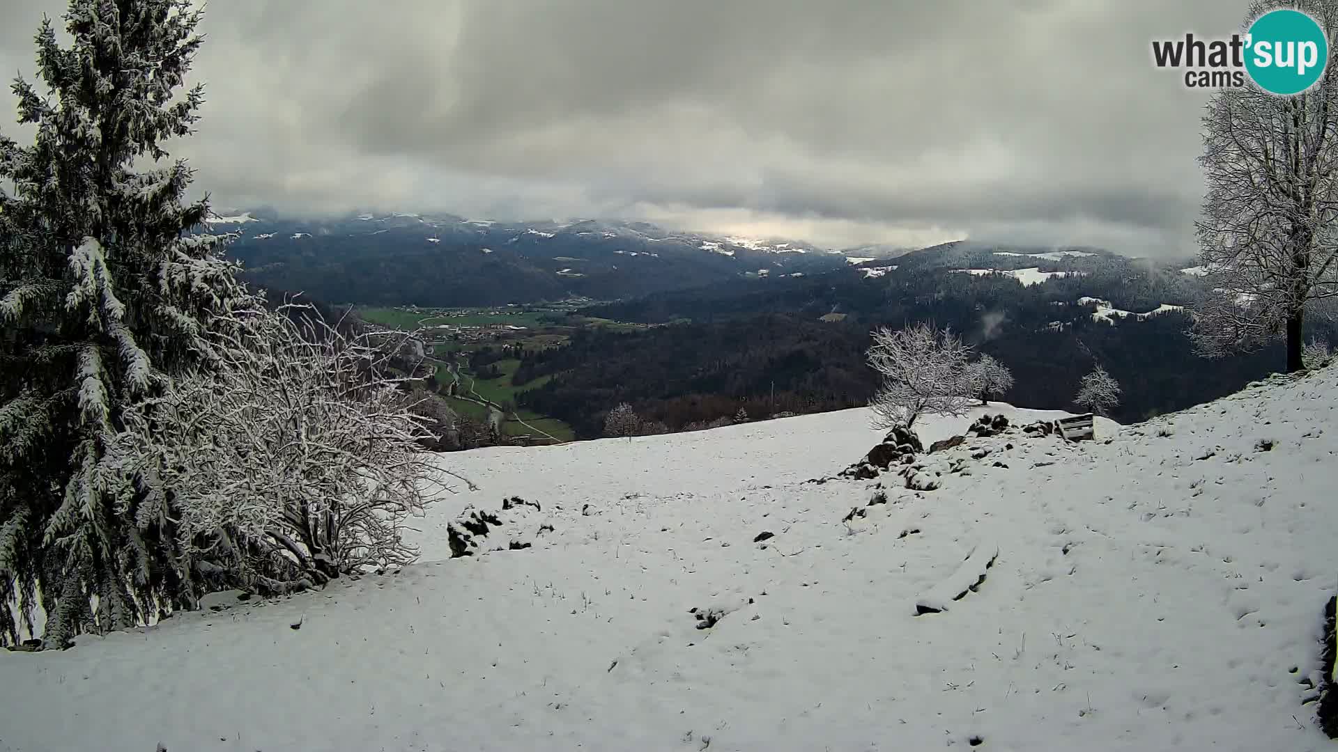 Slajka livecam | Gorenja Vas | Slovénie