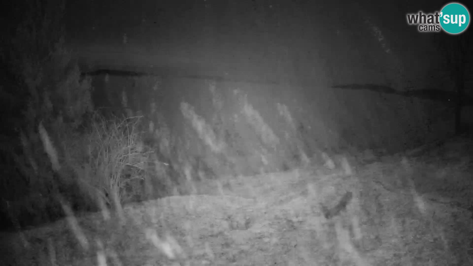 Slajka web kamera | Gorenja Vas | Slovenija