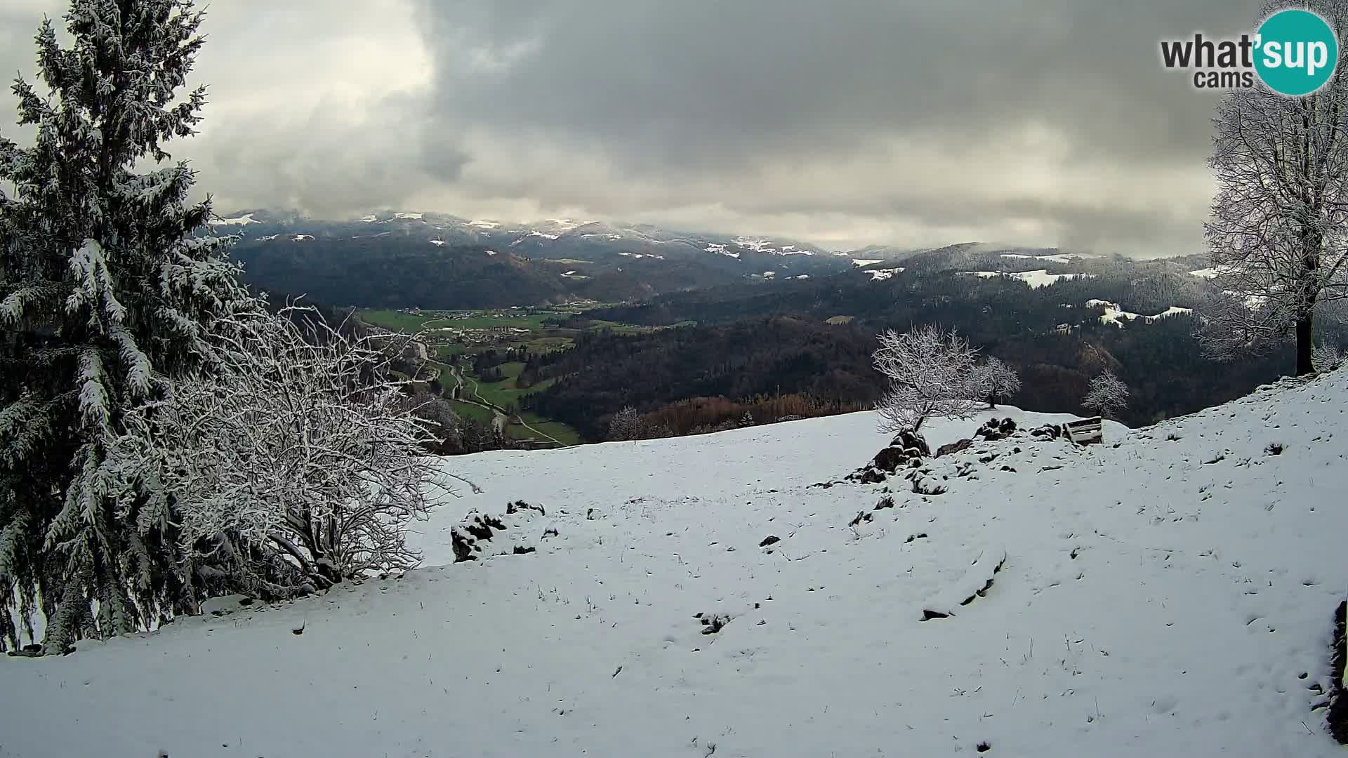 Slajka camera en vivo | Gorenja Vas | Eslovenia