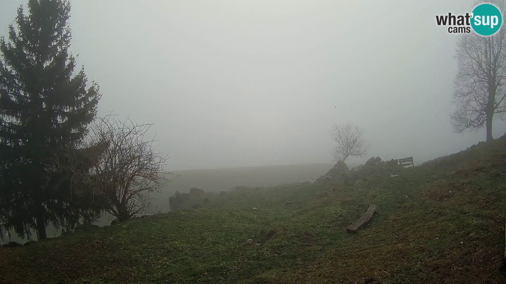 Slajka webam | Gorenja vas | Slovenia