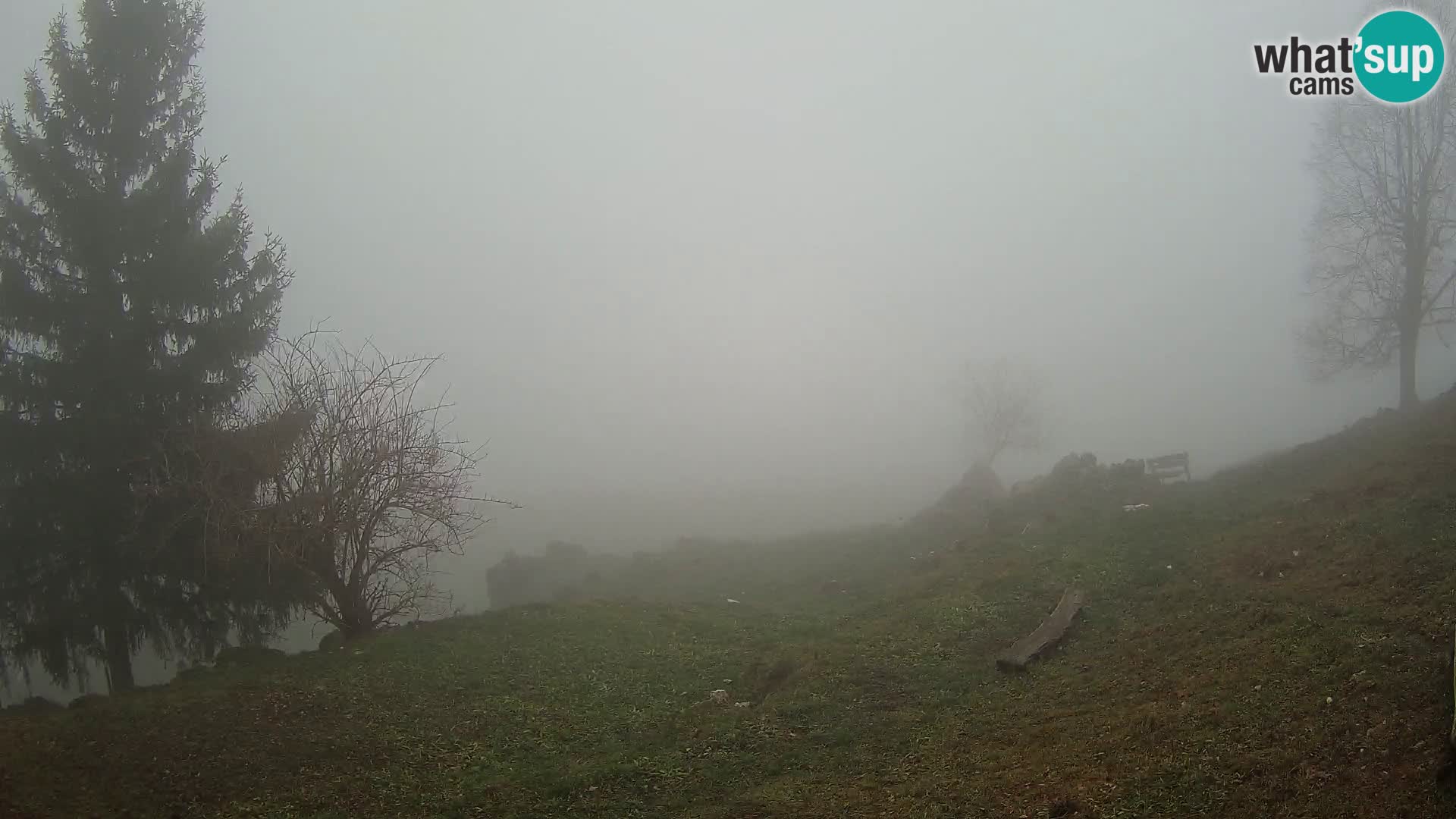 Spletna kamera Slajka | Gorenja vas