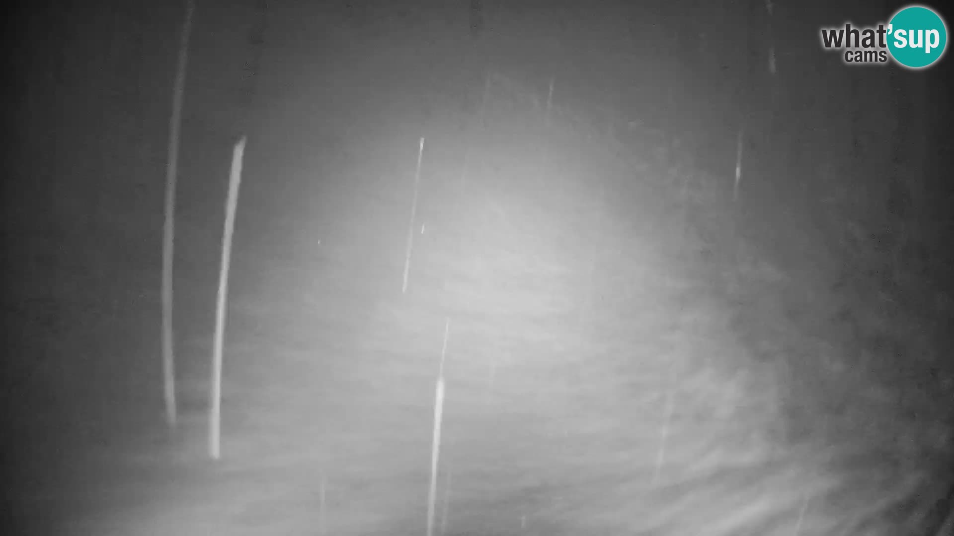 Slajka livecam | Gorenja Vas | Slovénie