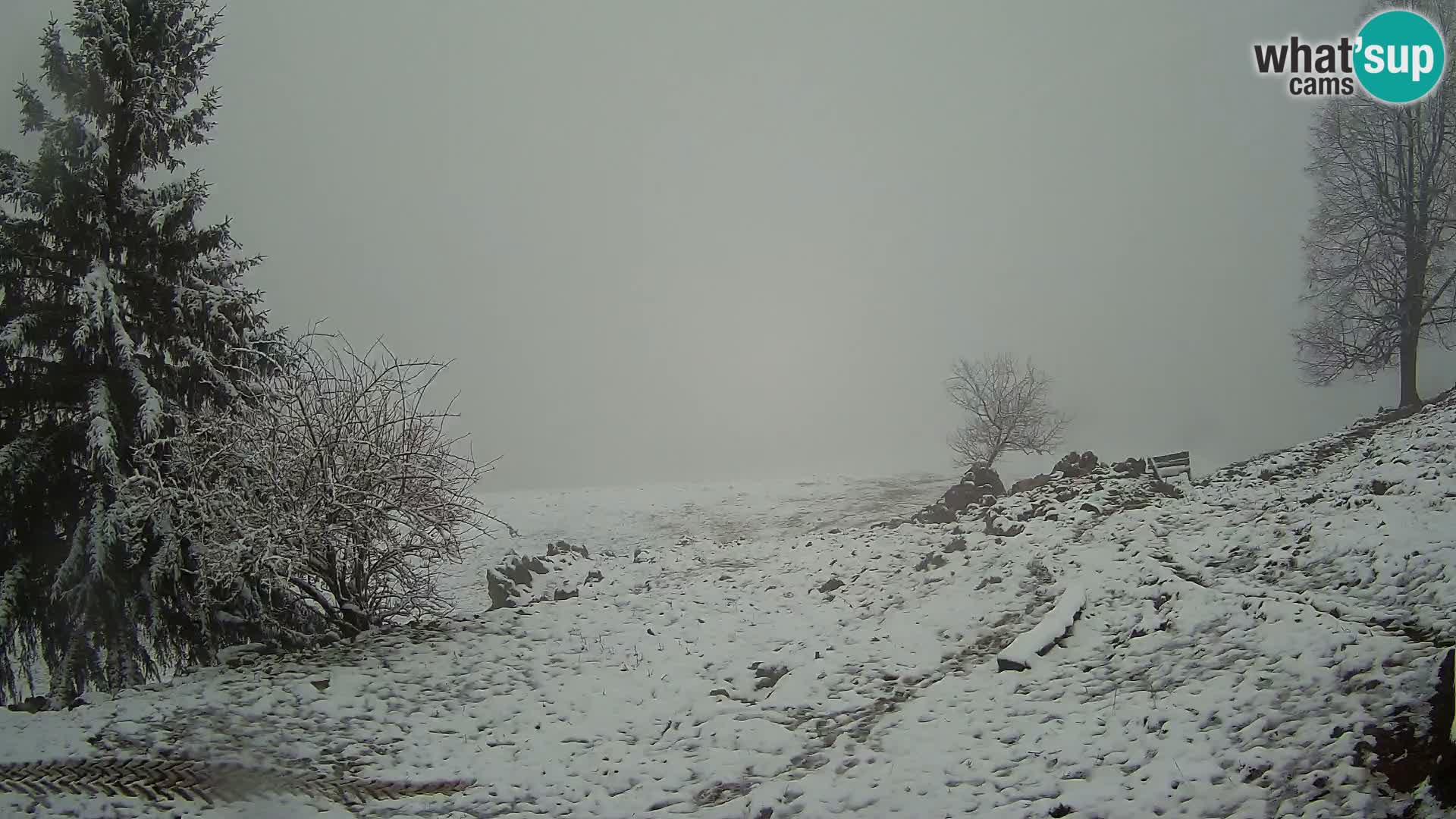 Slajka camera en vivo | Gorenja Vas | Eslovenia