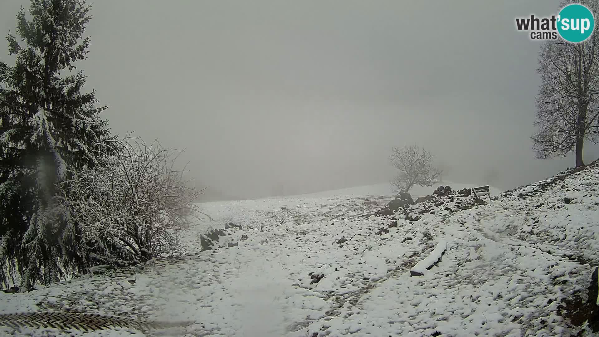 Slajka webam | Gorenja vas | Slovenia