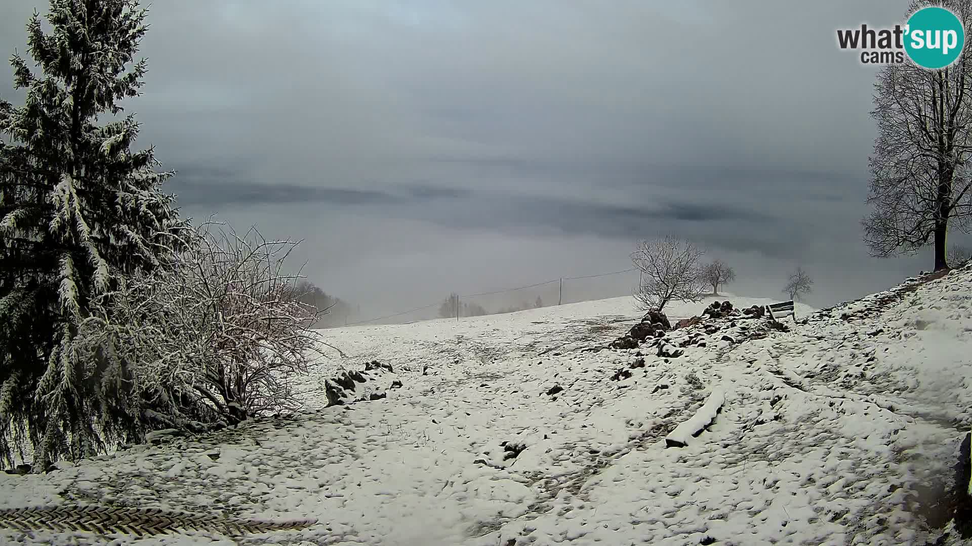 Spletna kamera Slajka | Gorenja vas