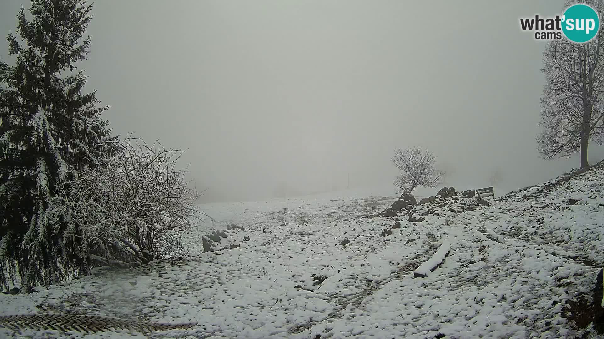 Slajka web kamera | Gorenja Vas | Slovenija