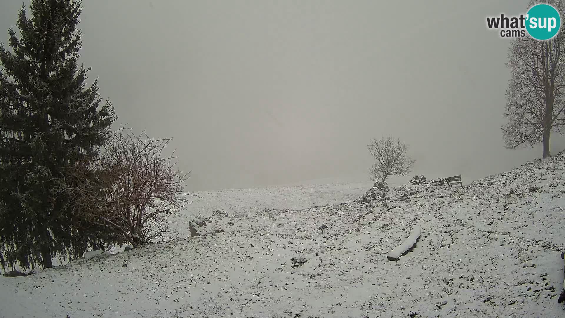 Spletna kamera Slajka | Gorenja vas