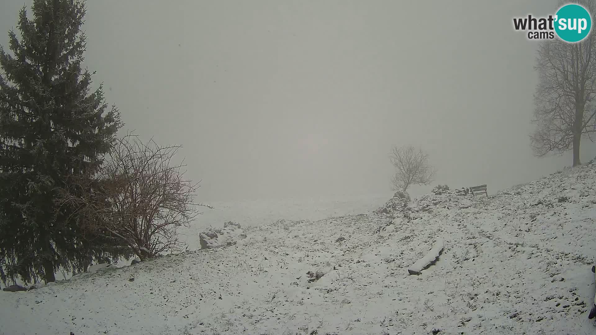 Slajka camera en vivo | Gorenja Vas | Eslovenia