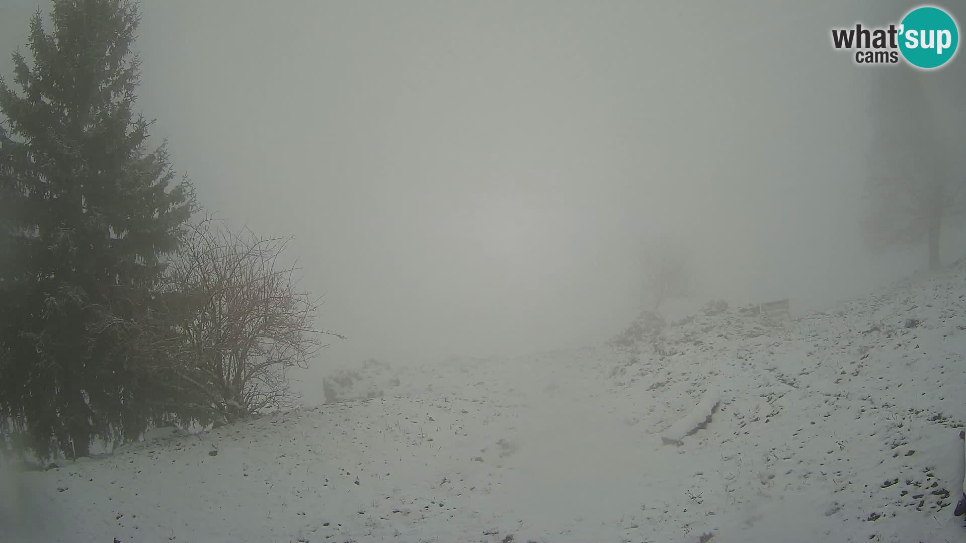 Slajka webcam | Gorenja Vas | Slowenien