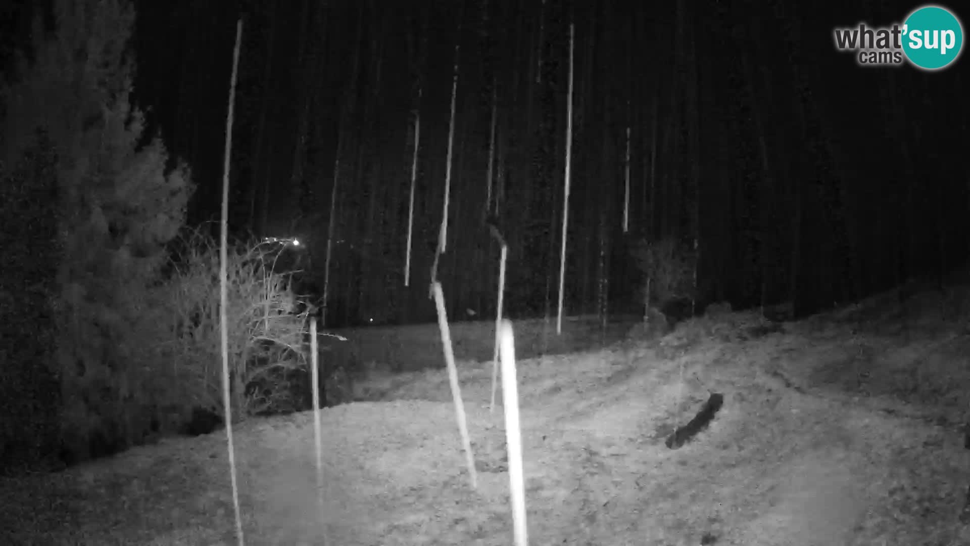 Spletna kamera Slajka | Gorenja vas