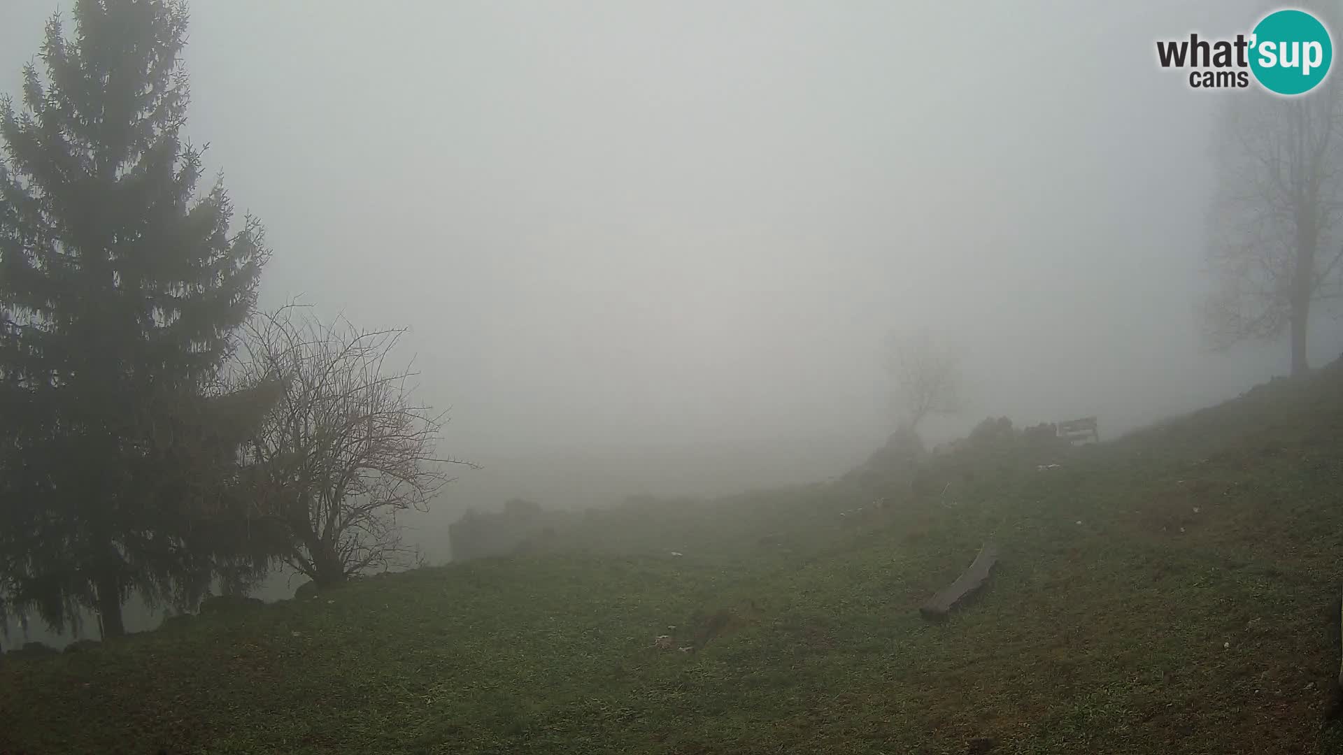 Slajka webcam | Gorenja Vas | Slowenien