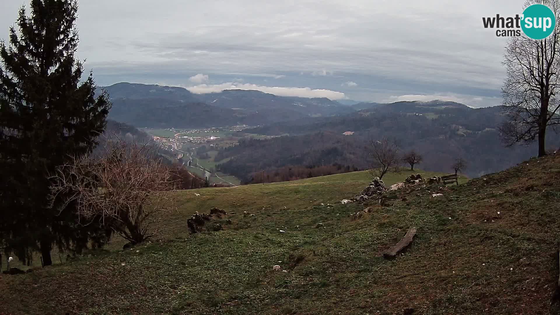 Slajka webam | Gorenja vas | Slovenia