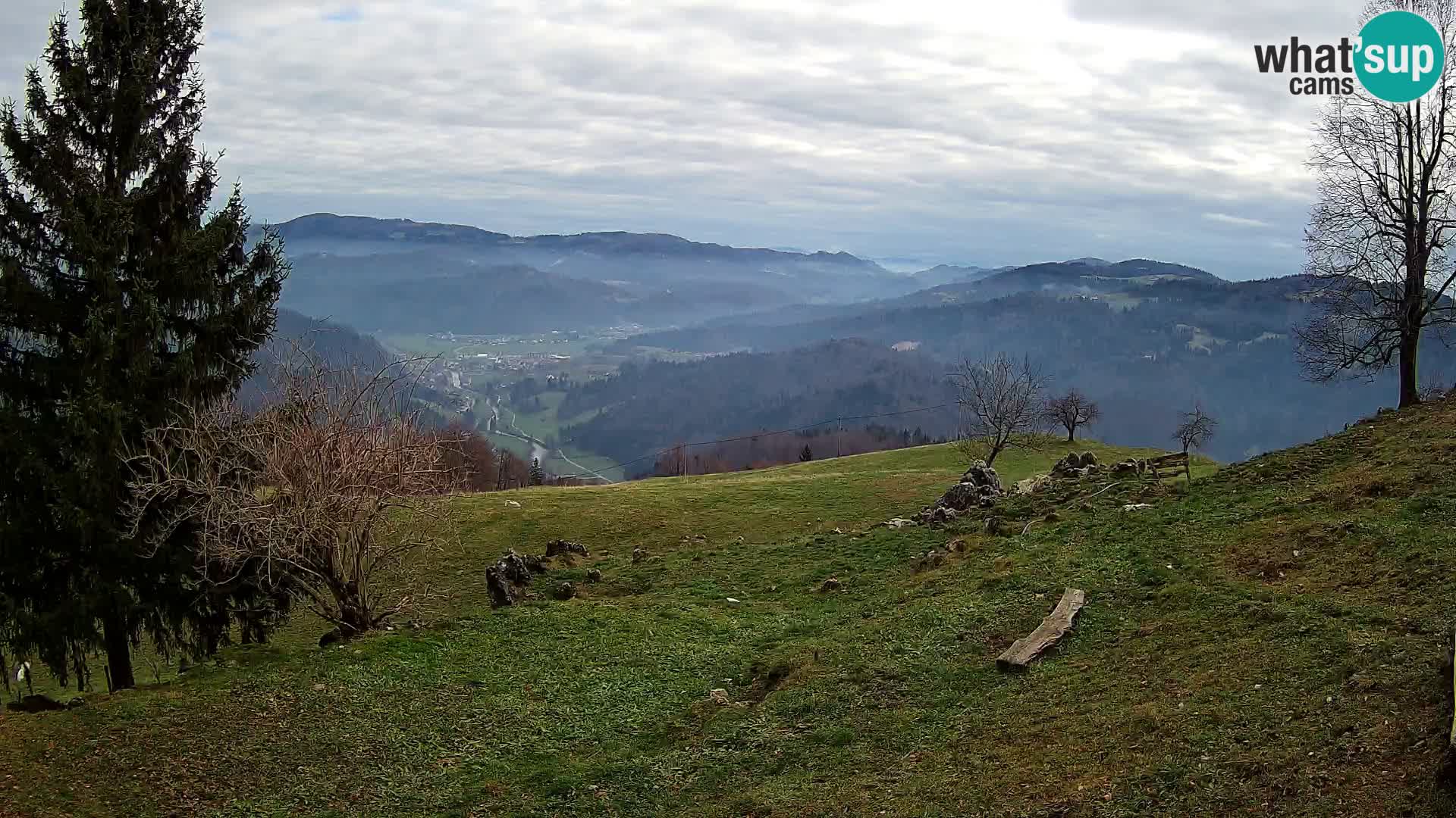 Slajka livecam | Gorenja Vas | Slovénie