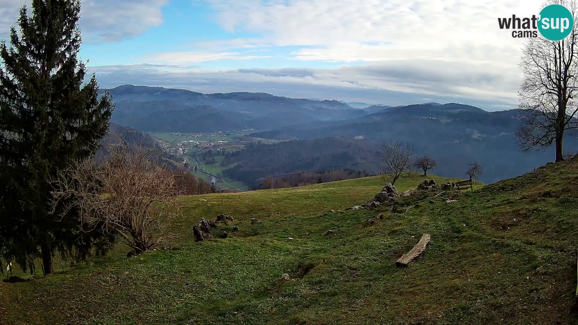 Slajka livecam | Gorenja Vas | Slovénie