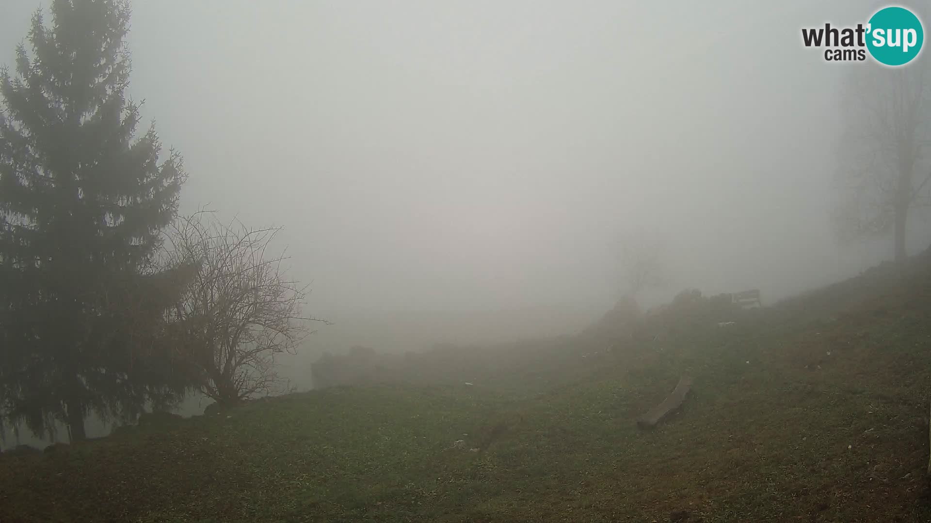 Slajka webcam | Gorenja Vas | Slowenien